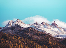 世俱杯官网-中国男篮公布21人集训名单，后卫竞争激烈，四号位有 新人